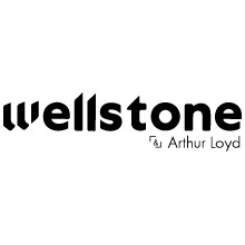 Wellstone diffuse ses annonces immobilières sur Geolocaux.com