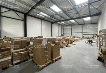 Location activité/entrepôt Neuville-en-Ferrain (59960) - 805 m² à Neuville-en-Ferrain - 59960