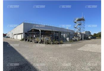 Location activité/entrepôt Pessac (33600) - 1200 m² à Pessac - 33600