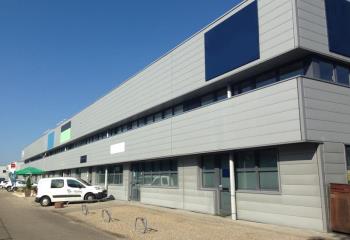 Activité/Entrepôt à vendre Illkirch-Graffenstaden (67400) - 1104 m² à Illkirch-Graffenstaden - 67400